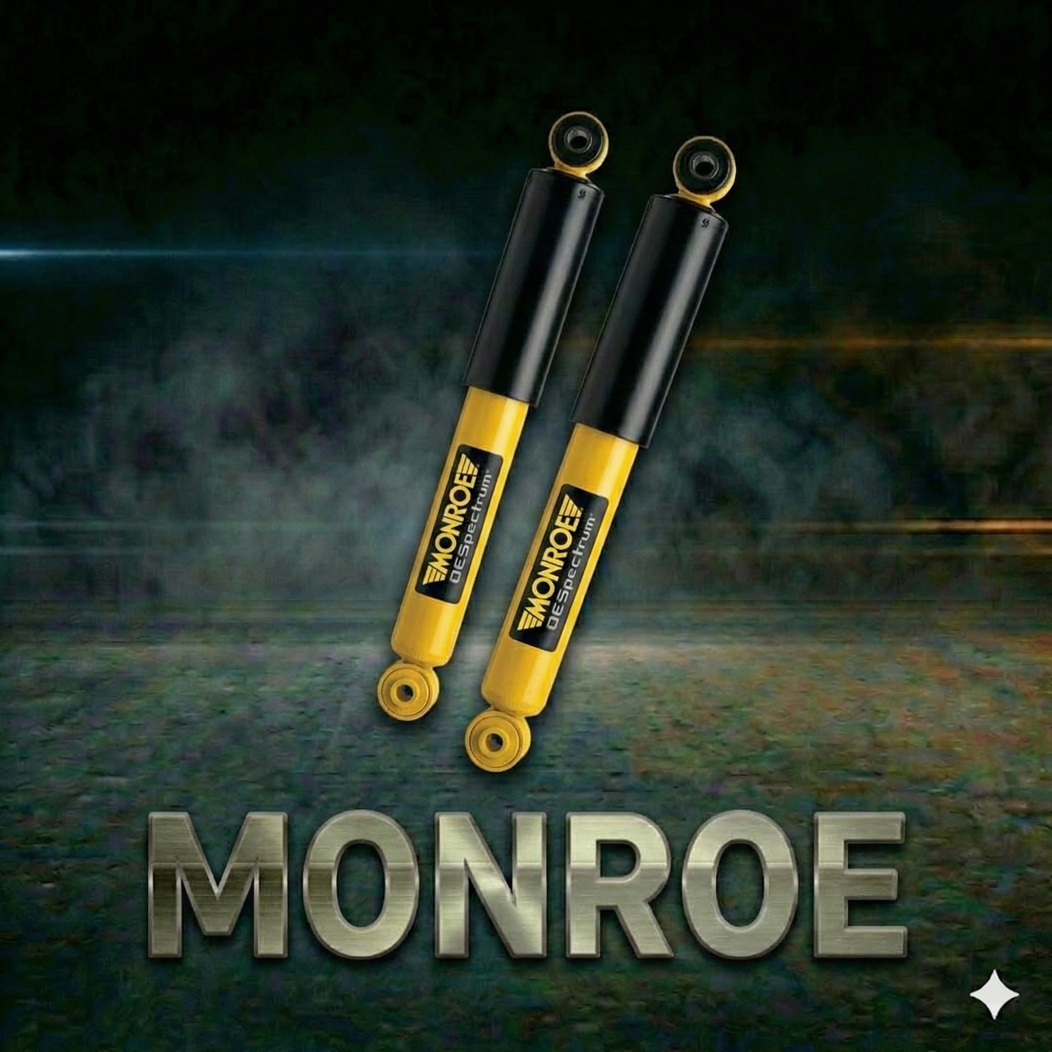 Shock Absorber Set
